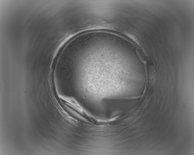 X0000056381460200509091702