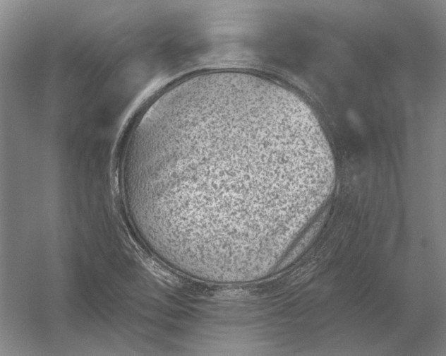 X0000056381462200509091702