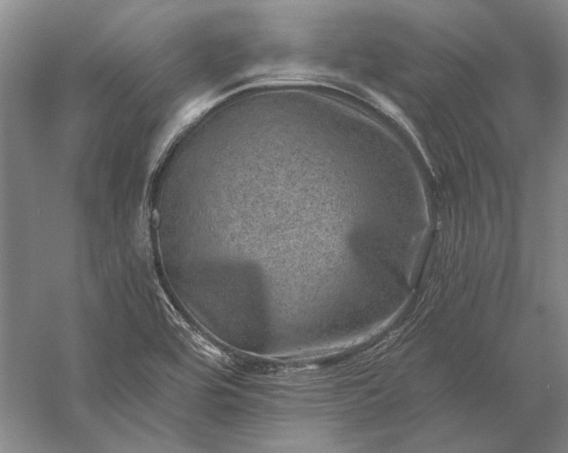 X0000056381464200509091702