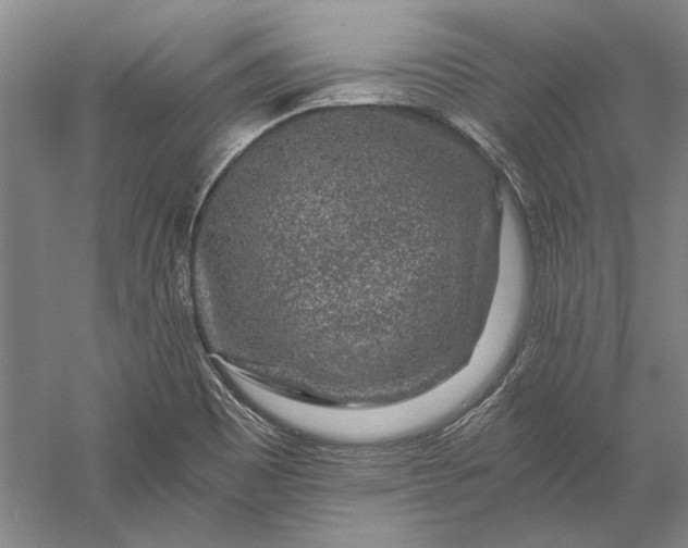 X0000056381465200509091702