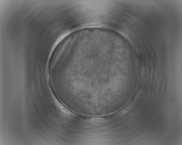 X0000056381466200509091702