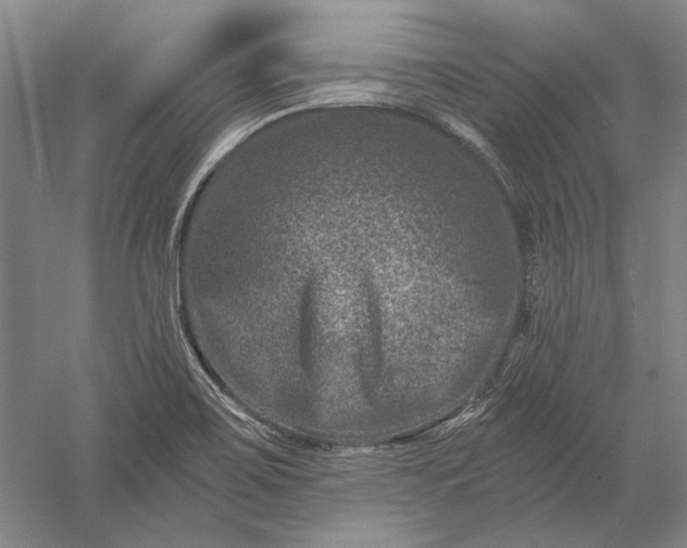 X0000056381467200509091702