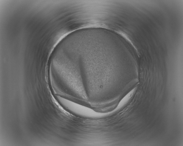 X0000056381468200509091702