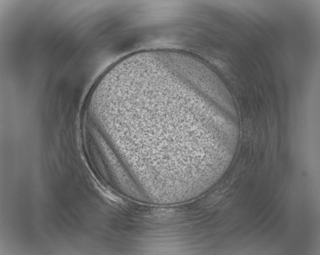 X0000056381470200509091702