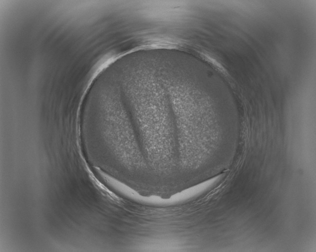 X0000056381471200509091702