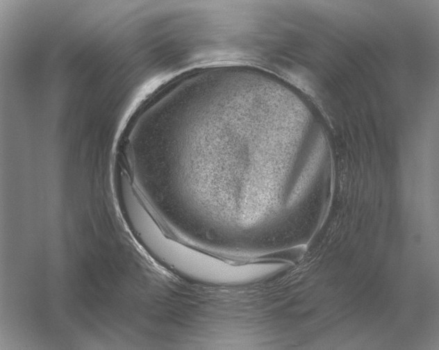 X0000056381472200509091702