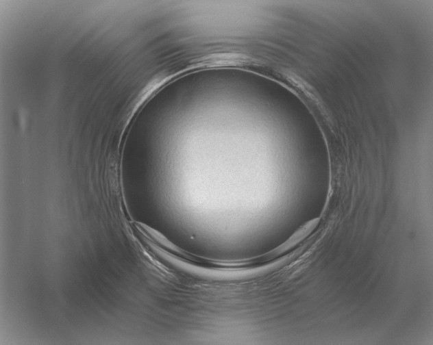 X0000056381473200509091702