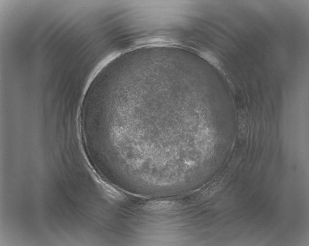 X0000056381474200509091702