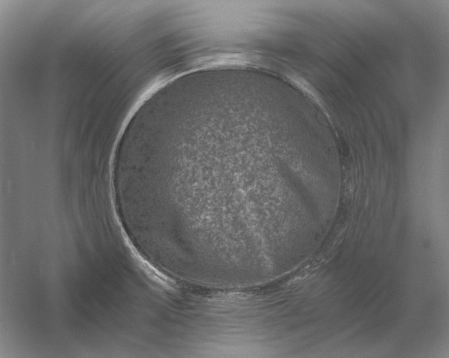 X0000056381475200509091702