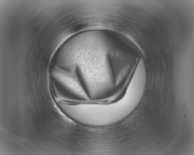 X0000056381476200509091702