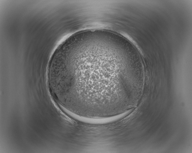 X0000056381477200509091702