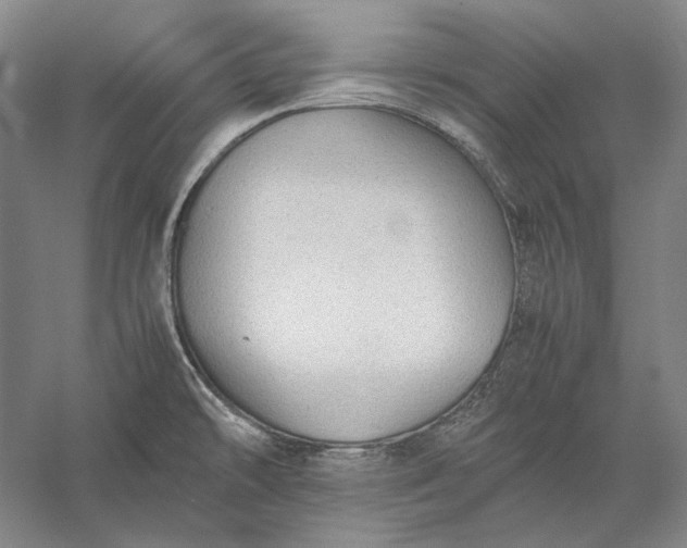 X0000056381478200509091702