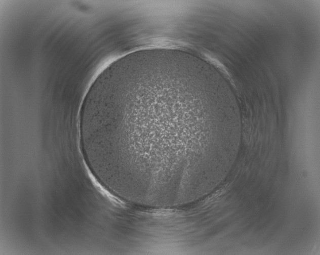 X0000056381479200509091702