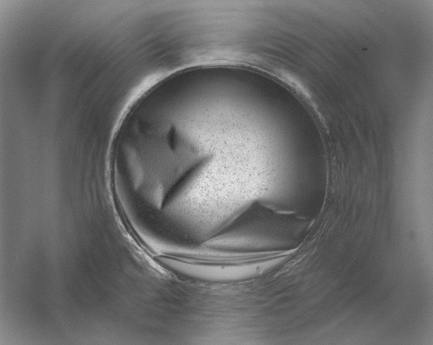 X0000056381480200509091702