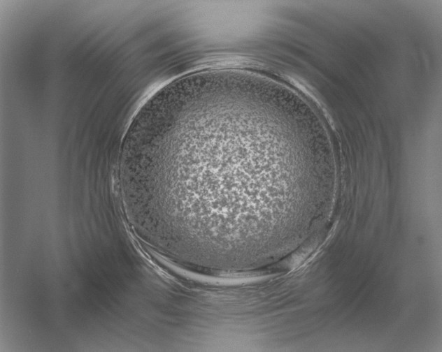 X0000056381481200509091702