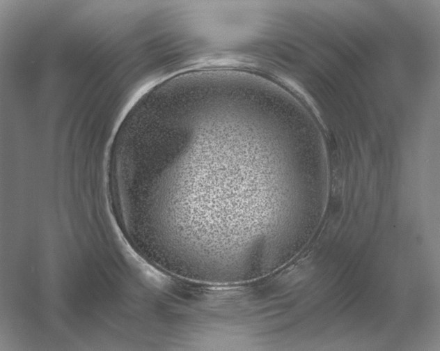 X0000056381483200509091702