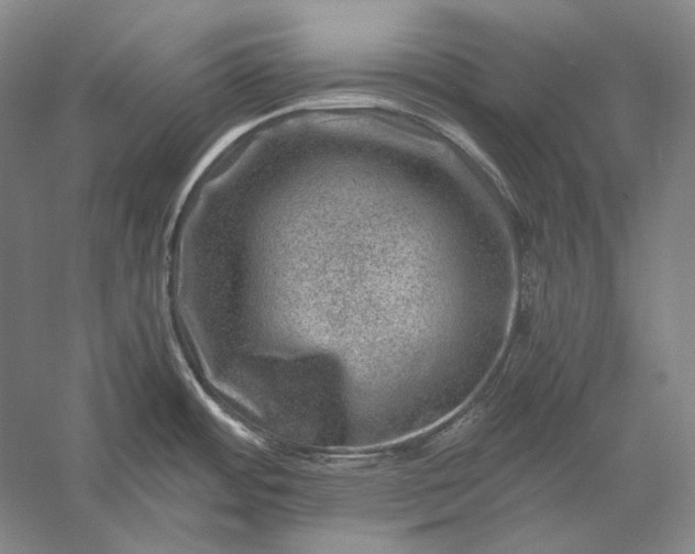 X0000056381484200509091702