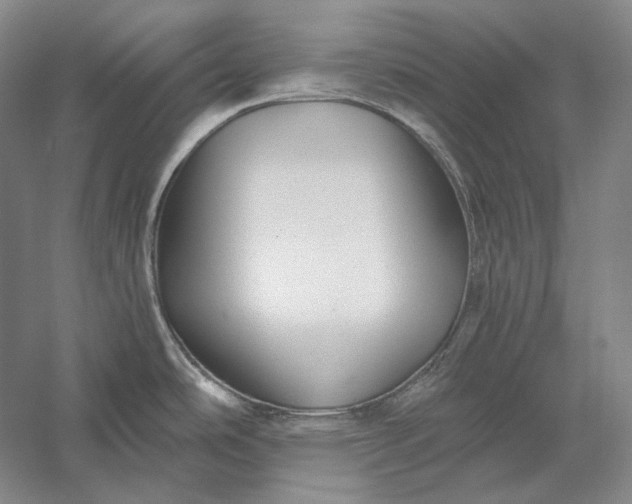 X0000056381486200509091702