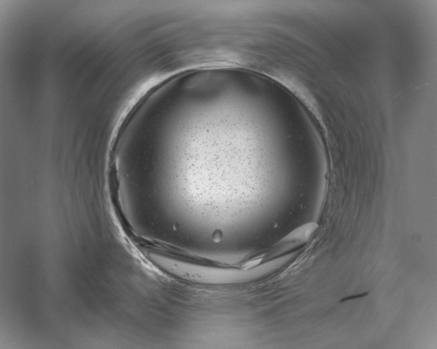 X0000056381488200509091702