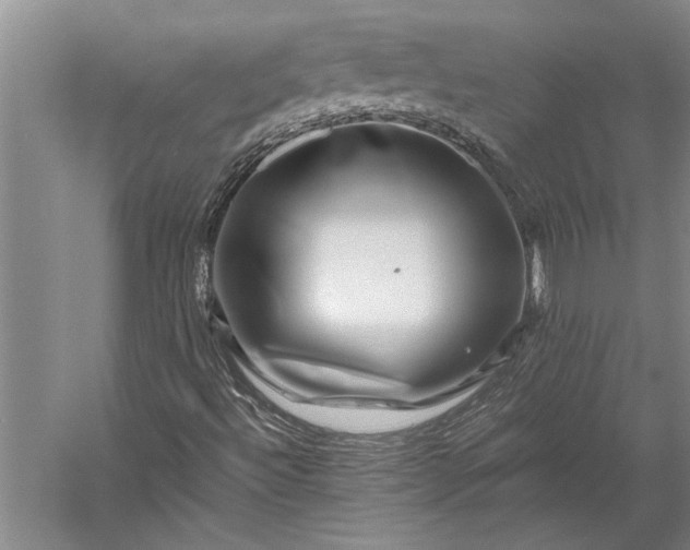 X0000056381492200509091701