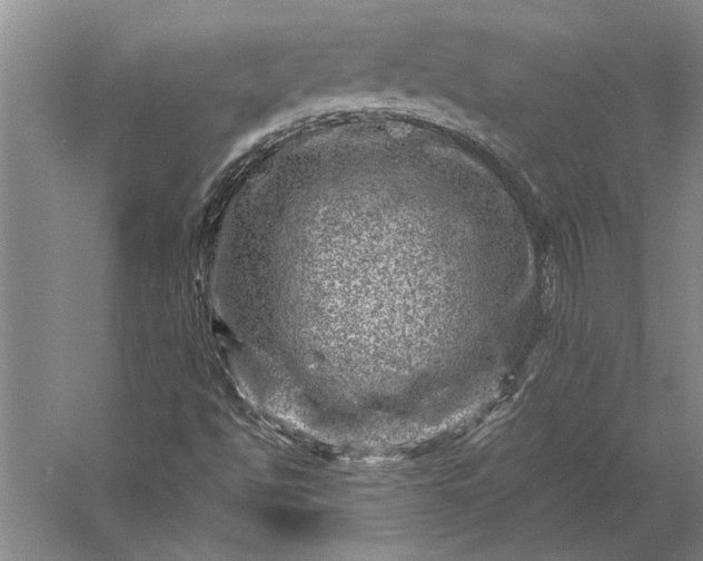 X0000056381494200509091701