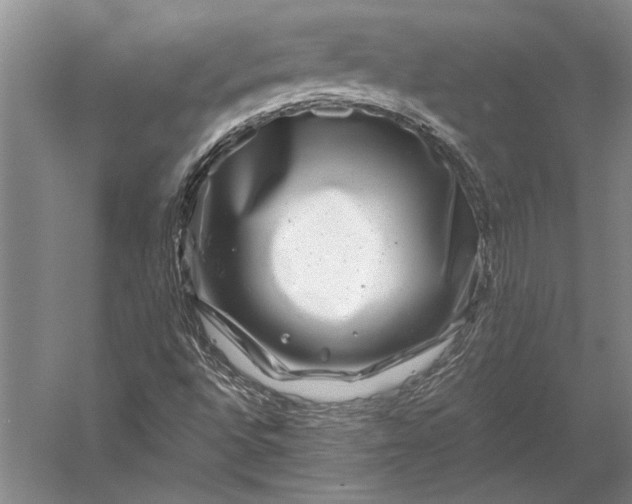 X0000056381496200509091701