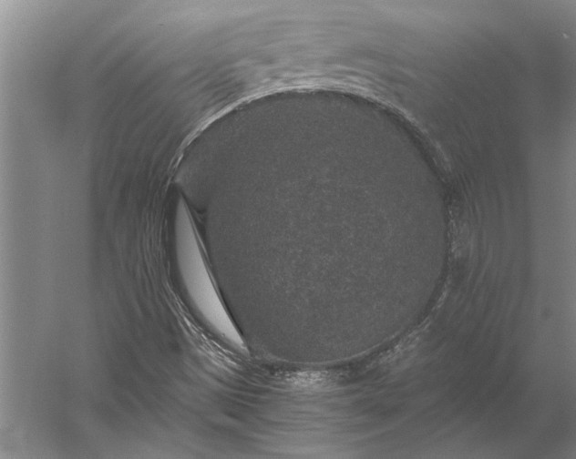 X0000056381497200509091701