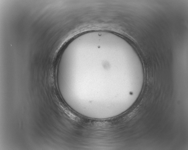 X0000056381498200509091701