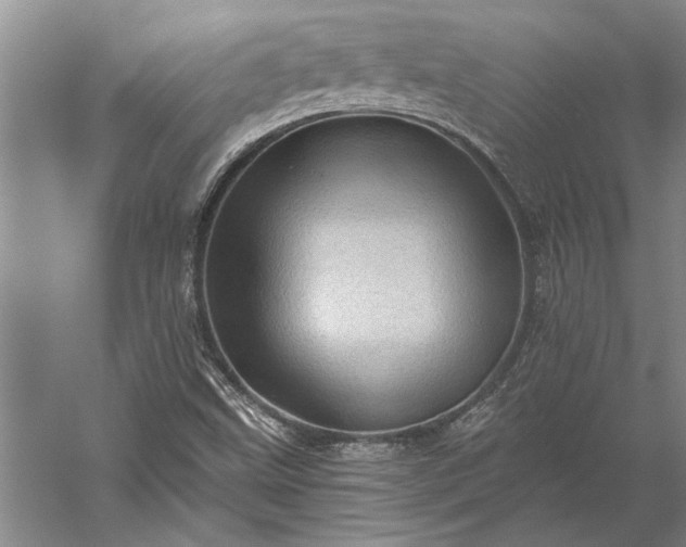 X0000056381499200509091701