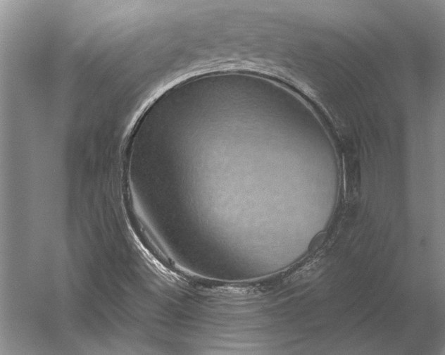 X0000056381500200509091701