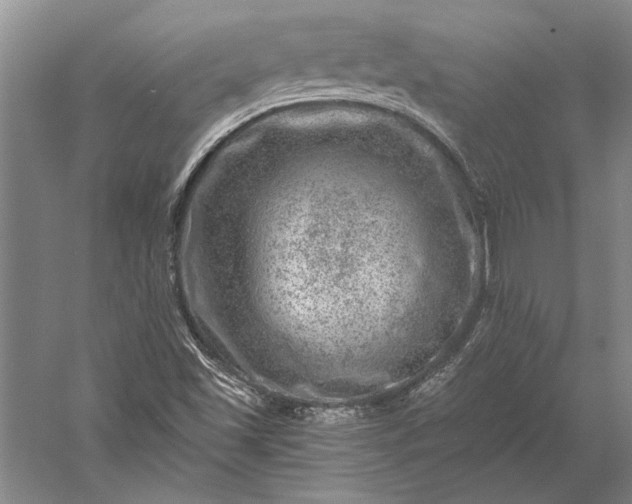 X0000056381501200509091701