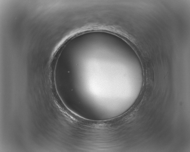 X0000056381502200509091701