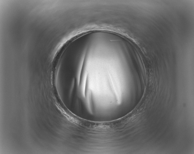 X0000056381503200509091701