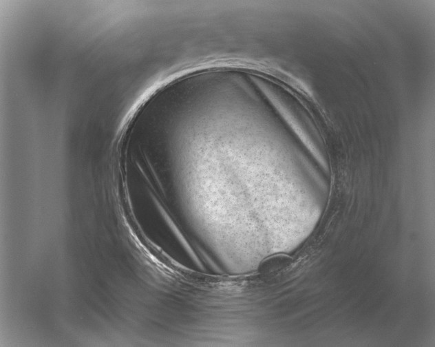 X0000056381504200509091701