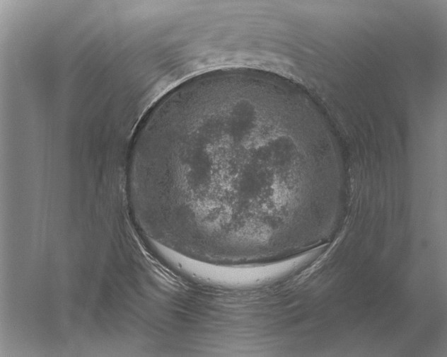 X0000056381505200509091701