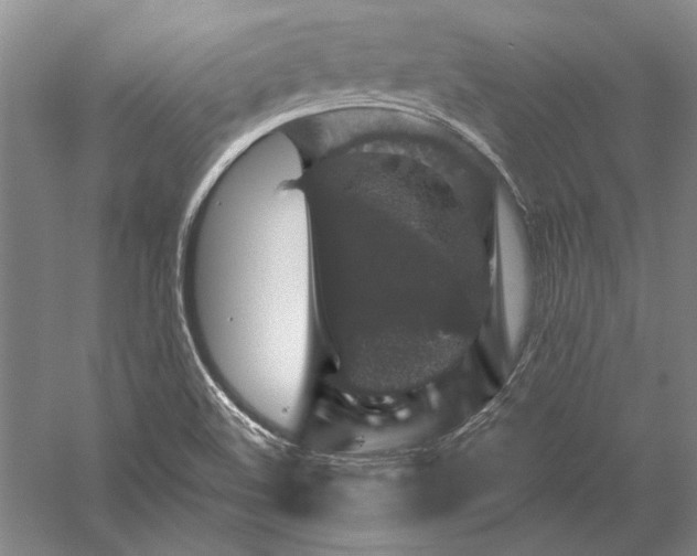 X0000056381508200509091701