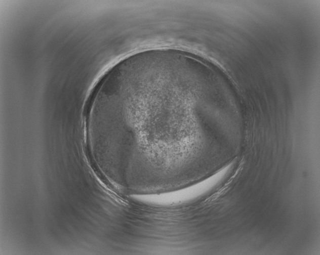 X0000056381509200509091701