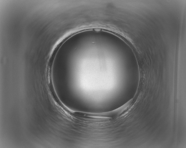 X0000056381510200509091701