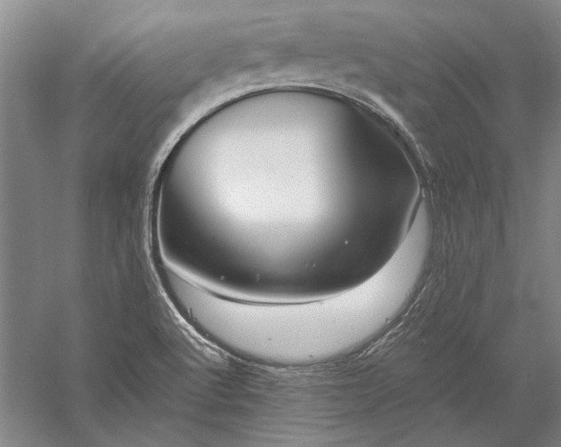 X0000056381512200509091701