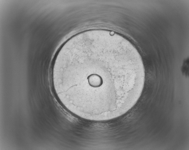 X0000056381514200509091701