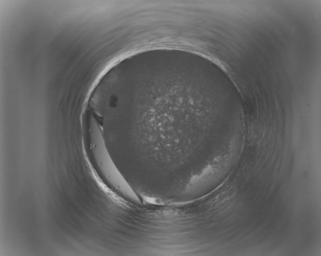 X0000056381515200509091701