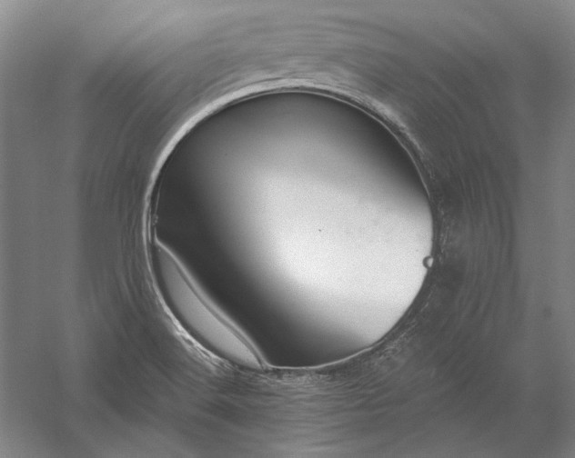 X0000056381516200509091701