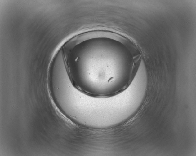 X0000056381518200509091701