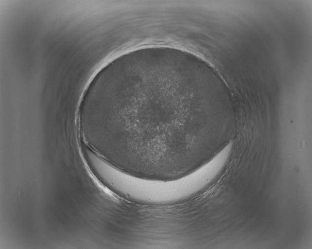 X0000056381519200509091701