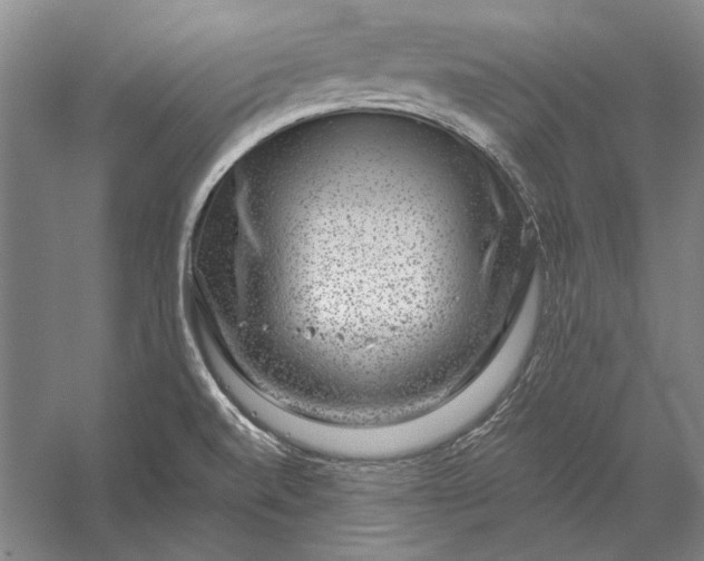 X0000056381520200509091701