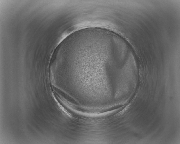 X0000056381521200509091701