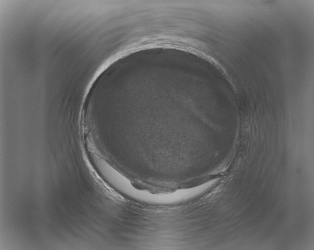 X0000056381522200509091701