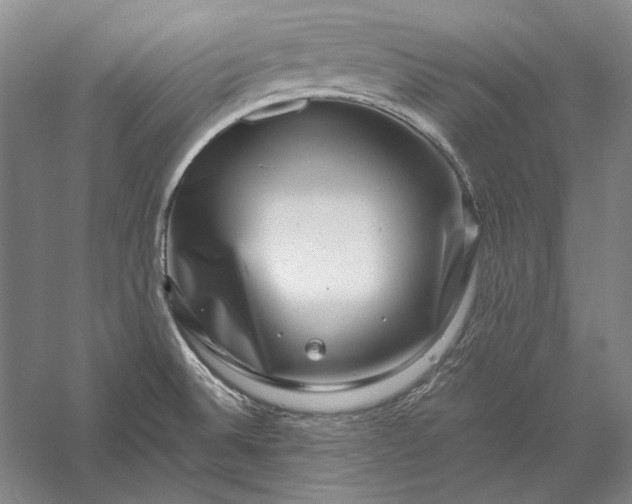 X0000056381524200509091702