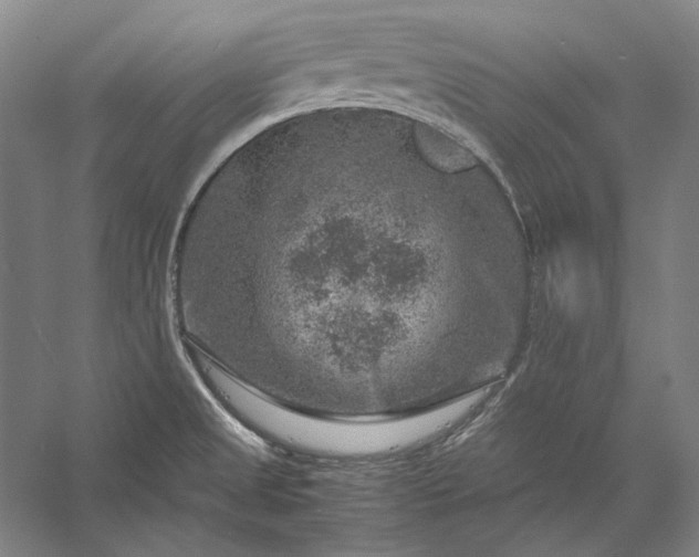 X0000056381525200509091702