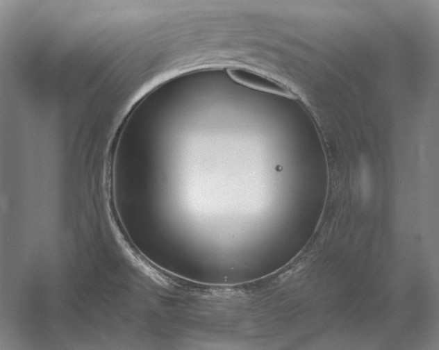 X0000056381526200509091702